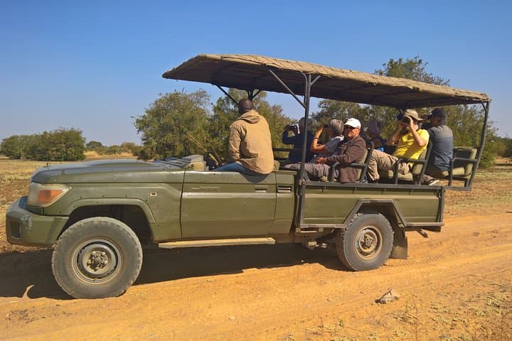 Zakouma Safari: Remote Wildlife Encounters in Chad's Wild East photo 5