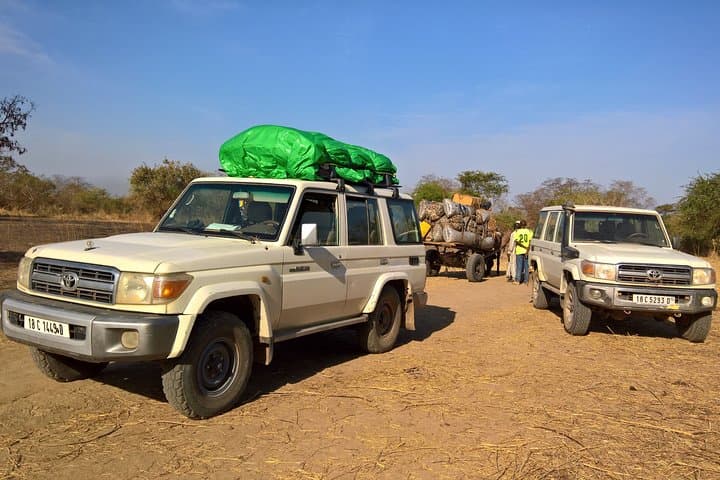 Zakouma Safari: Remote Wildlife Encounters in Chad's Wild East photo 6