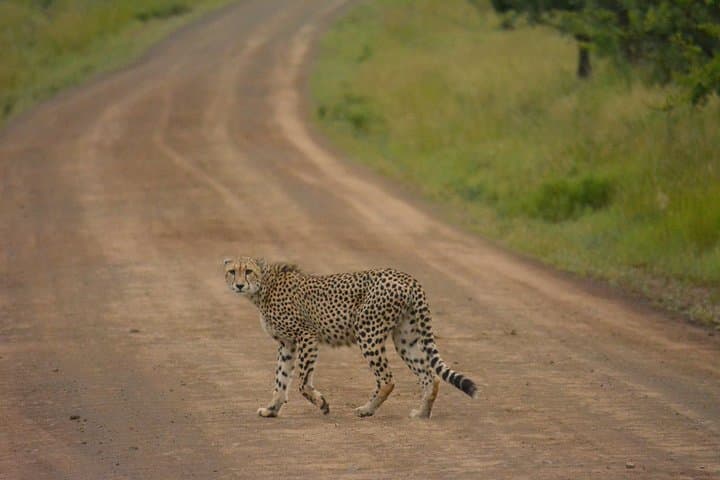 Arusha National Park Weekend Safari: Lakes, Forests & Mount Meru Views photo 2