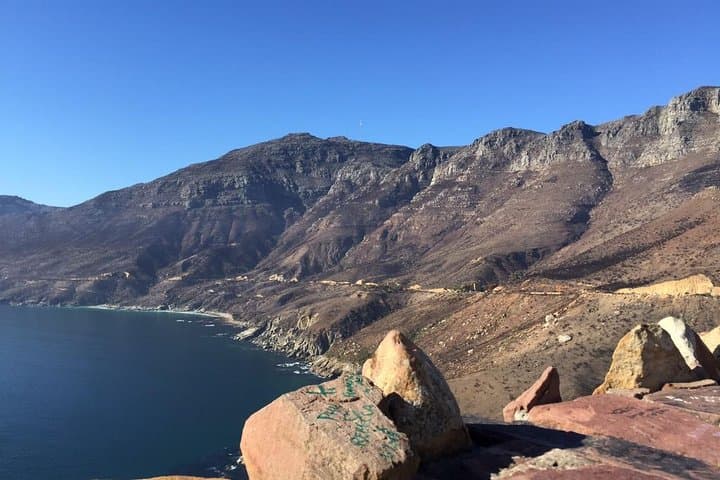 Cape Town Full-Day Private Tour: Table Mountain, Cape Point & Boulders Beach Penguins photo 6