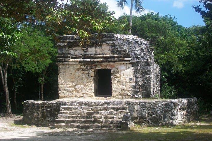 Cozumel Mayan Ruins and Snorkel Beach Day: San Gervasio to Tortugas photo 3