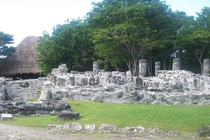 Cozumel Mayan Ruins and Snorkel Beach Day: San Gervasio to Tortugas photo 4