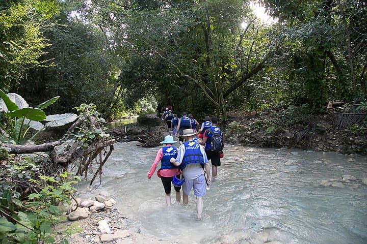 Rainforest Trek to a Natural Pool from Amber Cove — Puerto Plata Waterfall Hike
