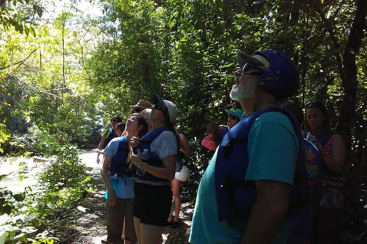 Rainforest Trek to a Natural Pool from Amber Cove — Puerto Plata Waterfall Hike photo 3