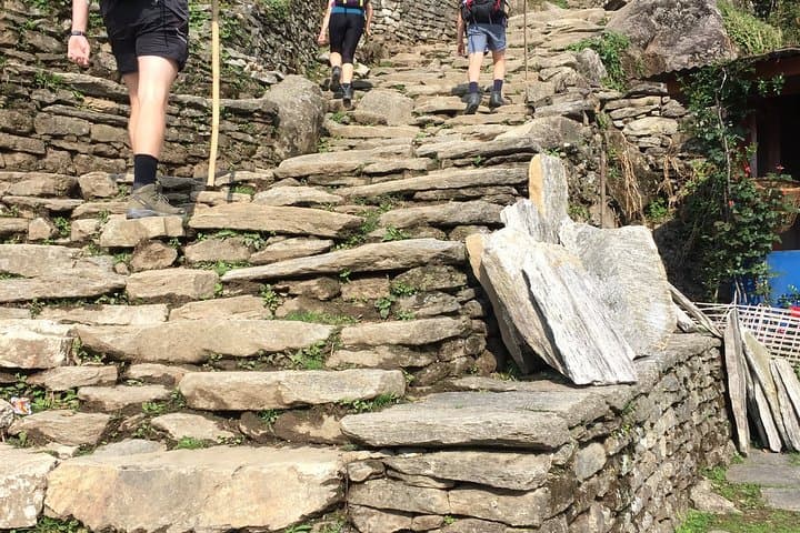 Poon Hill Sunrise Trek: 4-Day Ghorepani Loop from Pokhara photo 4