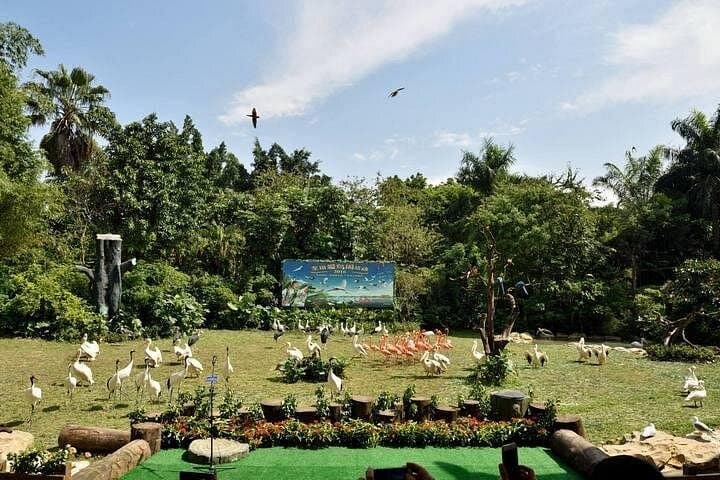 Guangzhou Day Tour to Chimelong Safari Park — Private Transfer & Guide photo 4