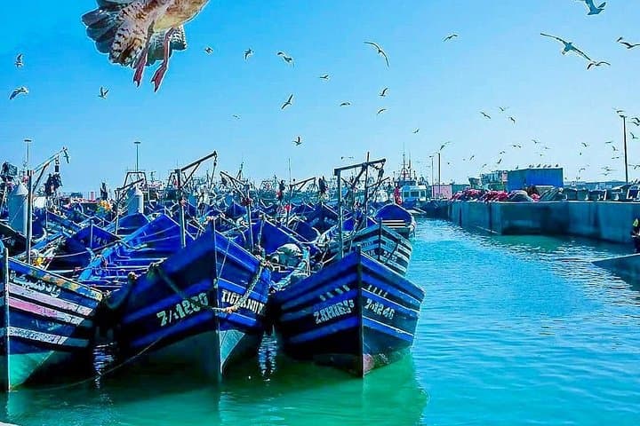 From Marrakech to Essaouira: Private Full-Day Coastal Tour with Lunch photo 1