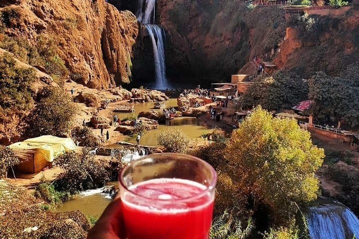 Ouzoud Falls Day Trip from Marrakech: Private Transfers to Morocco's 110m Cascades photo 3