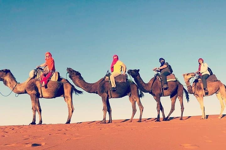 Three-Day Merzouga Sahara Desert Trek from Marrakech photo 4