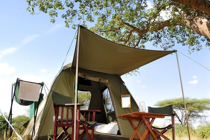 11-Day Private Southern Tanzania Safari: Selous, Ruaha & Mikumi Adventure photo 2