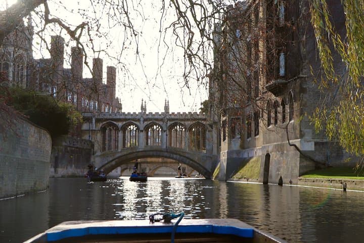Shared Chauffeured Punt Tour Along the River Cam - Cambridge College Backs Cruise photo 2