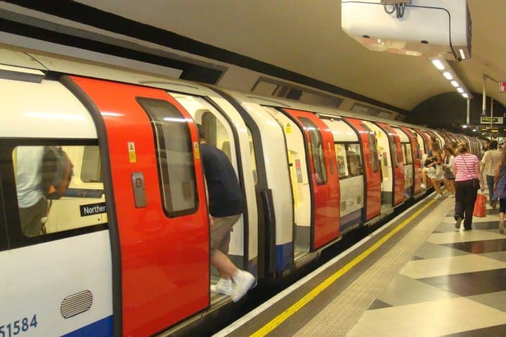 Private Half-Day London Sightseeing Tour by Car: Westminster, Buckingham & Tower Highlights photo 3