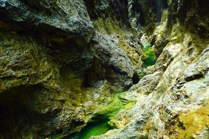 Strubklamm Canyoning: Austria's Narrow Gorge With 17 Jumps and a 5-Hour Guided Adventure photo 4