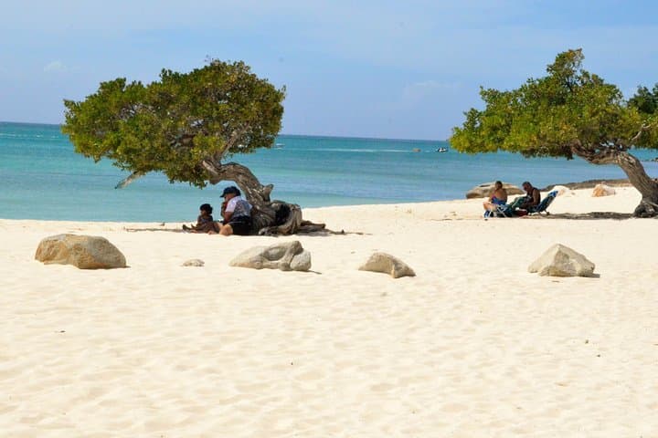 Private Essential Tour of Aruba: Casibari Rocks, Natural Bridge & California Lighthouse photo 1