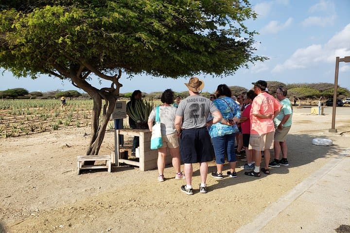 Private Essential Tour of Aruba: Casibari Rocks, Natural Bridge & California Lighthouse photo 4