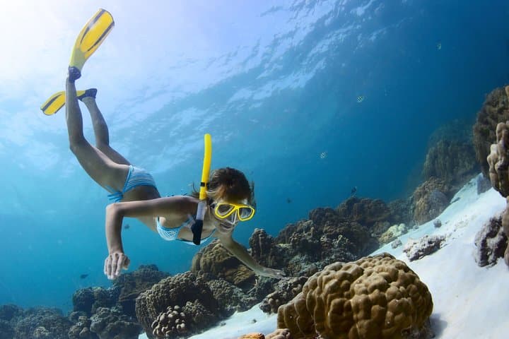 Cancun Reef Snorkel: Turtles, Coral & Shipwreck Tour photo 5