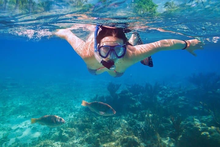 Cancun Reef Snorkel: Turtles, Coral & Shipwreck Tour photo 4