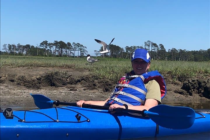 Assateague Guided Kayak Tour to See Ponies, Dolphins & Birds photo 6