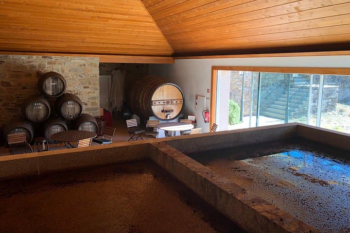 Private Douro Valley Day Tour from Porto — River Cruise, Port Wine & Pinhão Views photo 2