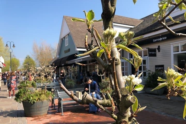 Private Guided Shopping at Bicester Village: Designer Outlets Near Oxford photo 2