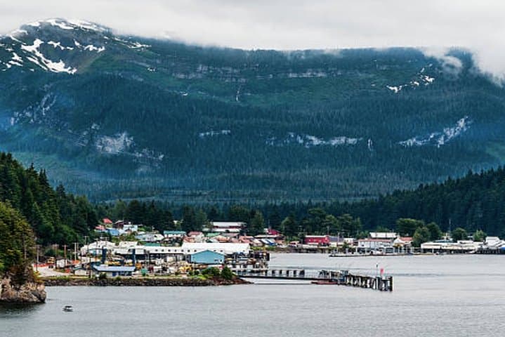 Icy Strait Whale Watching: Humpbacks, Orca & Coastal Wildlife from Icy Strait Point photo 6