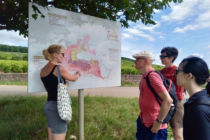 Meursault Vineyard Walk: Burgundy Wine Tour & Tasting photo 6