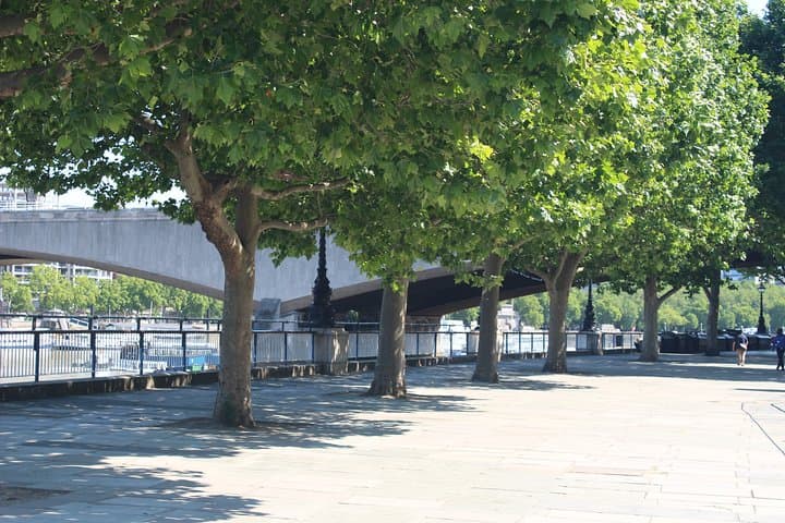 Love Actually Private Taxi Tour: Iconic Rom‑Com Filming Locations in London photo 4
