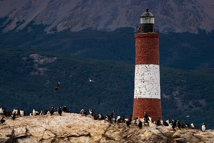 Private Yacht Sailing on the Beagle Channel from Ushuaia photo 3