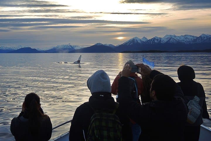 Private Yacht Sailing on the Beagle Channel from Ushuaia photo 5