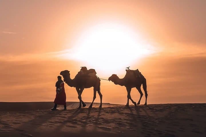 Merzouga Overnight Camel Trek: 1-Night Erg Chebbi Desert Camp Experience photo 4