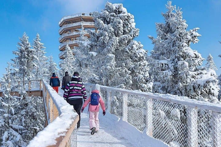 Treetop Walk in Ždiar and Chochołowskie Thermal Baths Day Trip from Kraków photo 2
