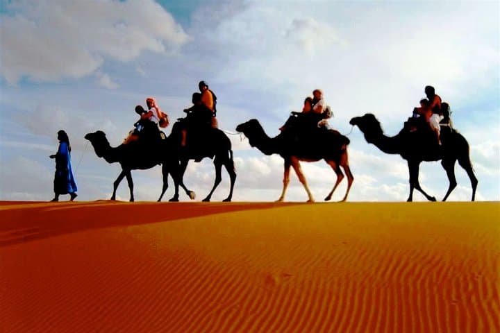 Sunset Camel Ride in Merzouga's Erg Chebbi Dunes photo 4