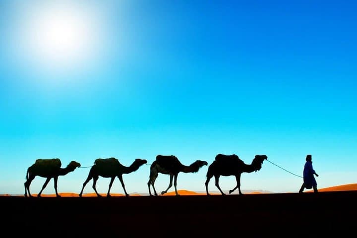 Sunset Camel Ride in Merzouga's Erg Chebbi Dunes photo 6