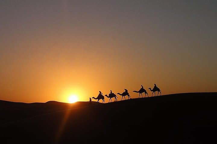 Sunset Camel Ride in Merzouga's Erg Chebbi Dunes photo 2
