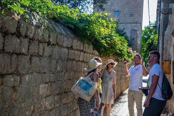 Explore the Elaphiti Islands & Blue Cave — Private Dubrovnik Boat Tour photo 5