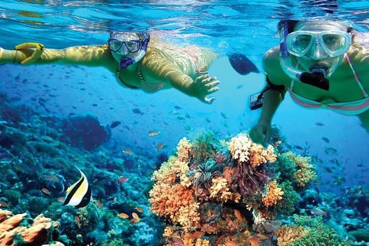 Sail to Isla Mujeres: Deluxe Catamaran Day Trip with Snorkeling & Spinnaker photo 3