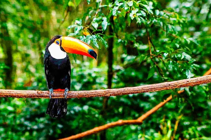 Amazon Sustainable Communities Encounter in Ecuador — Yasuni Lodge & Kichwa Culture photo 4