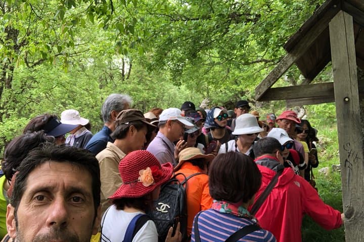 Zagori Day Tour — Vikos Gorge, Voidomatis & Papigo in One Day photo 6