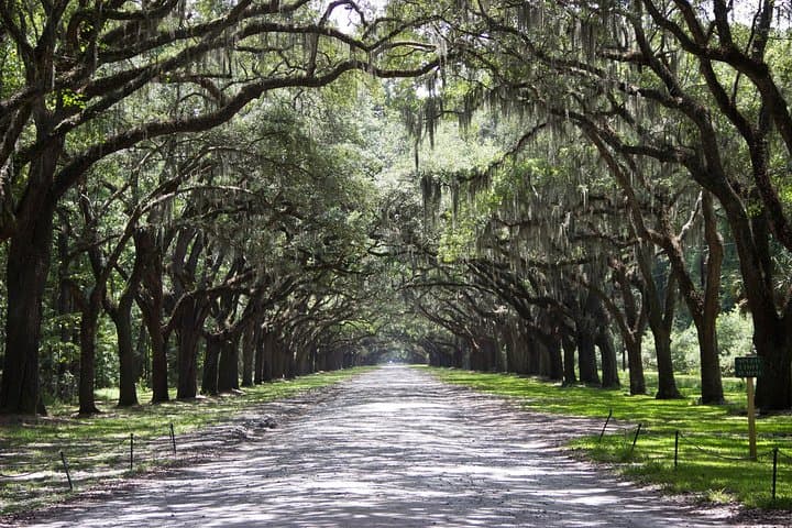 Creative Soul Scavenger Hunt in Savannah — Interactive Downtown Walking Game photo 3