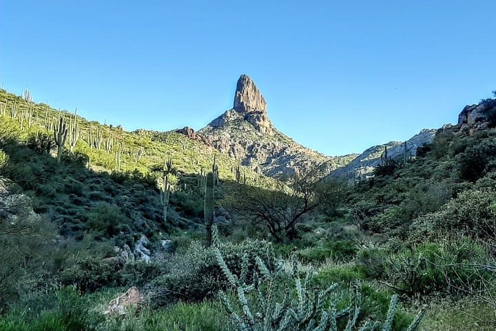 Superstition Mountains Guided Wilderness Hikes from Phoenix