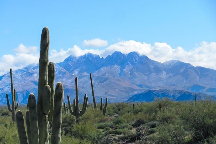 Superstition Mountains Guided Wilderness Hikes from Phoenix photo 2