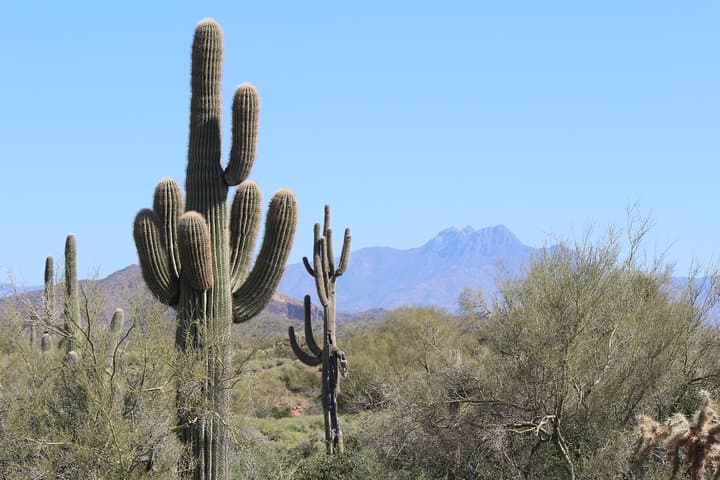 Superstition Mountains Guided Wilderness Hikes from Phoenix photo 3