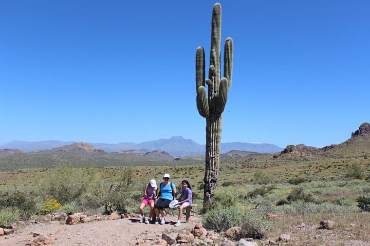 Superstition Mountains Guided Wilderness Hikes from Phoenix photo 4