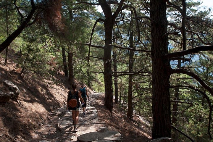 Samaria Gorge Full-Day Hike from Malia & Heraklion — 16 km Descent to the Sea photo 2