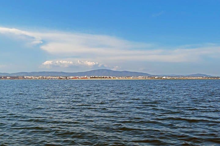 Private Ria Formosa Boat Tour from Olhão — Armona, Culatra & Farol photo 3