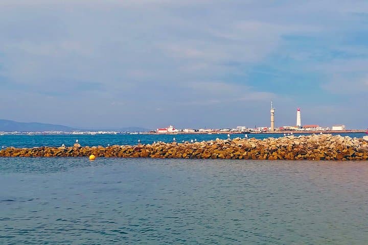 Private Ria Formosa Boat Tour from Olhão — Armona, Culatra & Farol photo 4