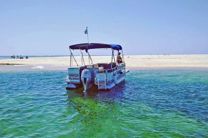 Private Ria Formosa Boat Tour from Olhão — Armona, Culatra & Farol photo 6