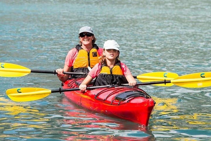 Nile River Adventure in Luxor — 60-Minute Single-Boat Paddle on the Nile