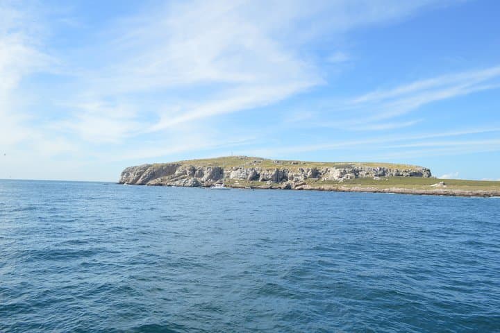 Full-Day Catamaran to Marietas Islands: Snorkel, Kayak & Open Bar from Puerto Vallarta photo 4