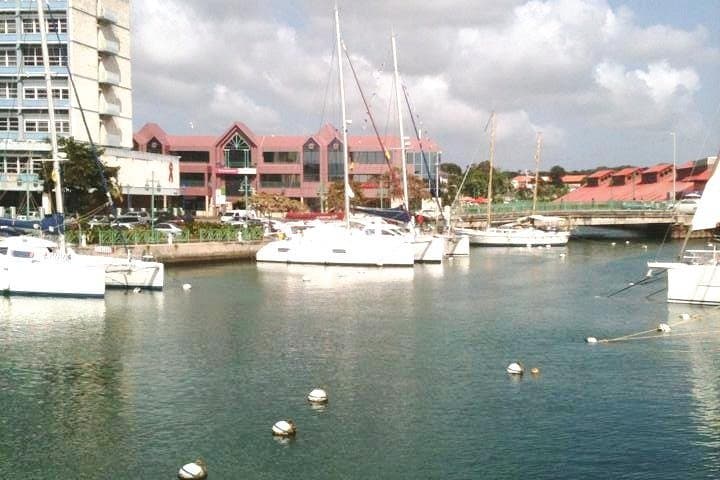 Panoramic Coastal Barbados Tour: Bridgetown to Bathsheba in 4 Hours